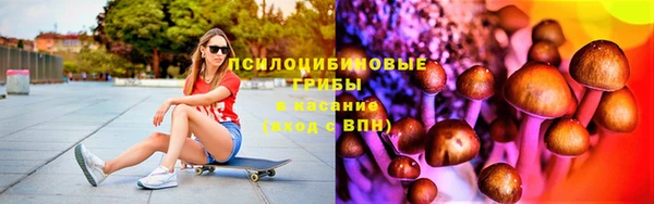 крисы Волоколамск
