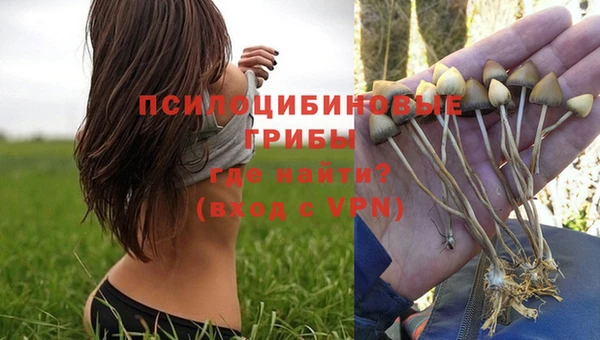 мет Верея