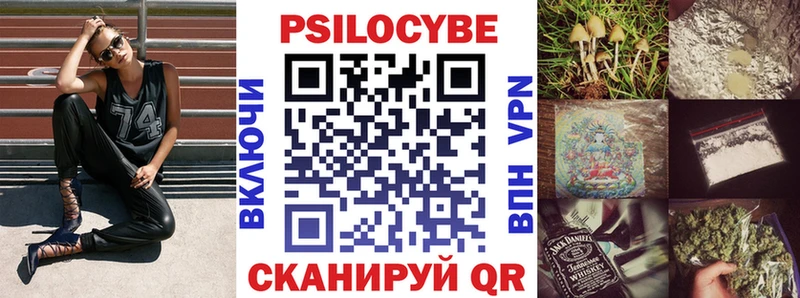 Галлюциногенные грибы GOLDEN TEACHER  OMG ссылки  Дмитров  купить наркотик 